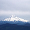 Mt. Hood view from Larch Mountain