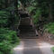 Larch Mtn Trail