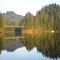 More reflections...