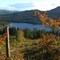 Fall leaves & Lake Merwin