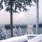 Lake Merwin snow 12-30-07