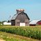 Rustic Farm
