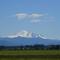 Mt Baker in summer
