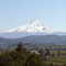 Mt. Hood