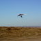 Hang glider top landing @ Eagle Butte