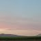 Summer Cornfield