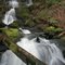 Oyster Creek Falls