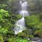 Oyster Creek Falls
