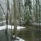 Snowy Big Beef Creek