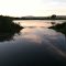 pond