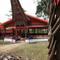 Toraja, Sulawesi: Building in which the family of the deceased are honoured as the buffalo are sacrificed