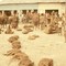 Indonesia, Papua, Waghete, marketday