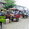 Public Buggy, Lombok