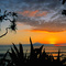 Sunset at the Sengigi Beach: View to Bali
