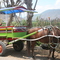 Traditional Transportation: Benhur
