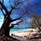 waikelo beach