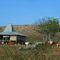 sandalwood horses go grazing - Hambapraing Village, East Sumba, East Nusa Tenggara Province, Indonesia