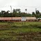 SD-SMP Negeri Satu Atap Kasukwe, Sarmi, Papua
