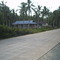 tanjung limau