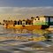 Mahakam boats
