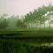 Morning mist at Pobundayan