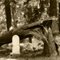 Baldwin Cemetery