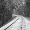 Grayford Rd, North Vernon