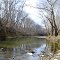 Calm Water Muscatatuck River