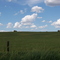 Chebanse country