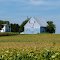 Country Farm