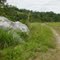 Roads in The rice Fields Tolambo