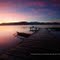Morning Fishing