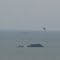 A solitary Eagle versus a barge of coal