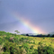near Coalmine in South Kalimantan