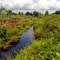 Sungai Pengeringan