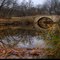 Polecat Creek
