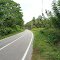 Road to Wahai