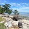 Wahai beach