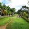 Dusun Melinani