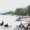 Pantai Tana Duen Kec. Kangae Kab. Sikka Flores