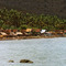 Coast of Flores near Maumere