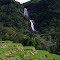 rice field and Tengku Lese waterfall on background