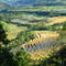Rice fields around Ruteng