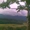 Rice field view at Lerang, Manggarai Timur