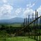 Wood fence of Lembah Rimbawan