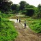  Flores - Indonesia - 1993