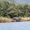 Hut at matano lake