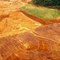 Mining rehabilitation