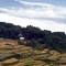 Sulawesi: Batutumonga Toraja : Early Morning Cloud