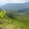 teras beras